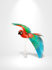 Puzzle 3D Oiseau | Brainstaker™ Rouge / China